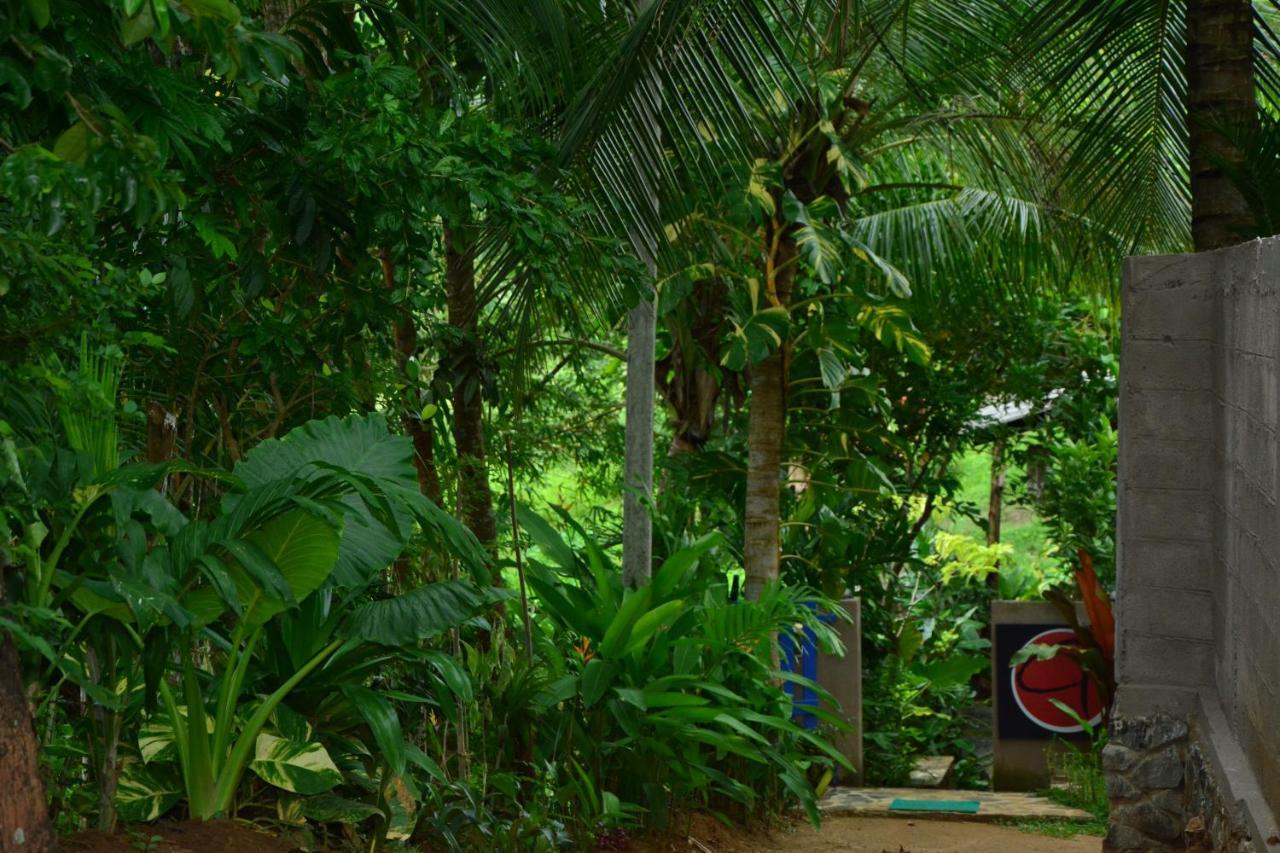View Guesthouse & Bistro At Goyambokka Tangalle Exterior foto