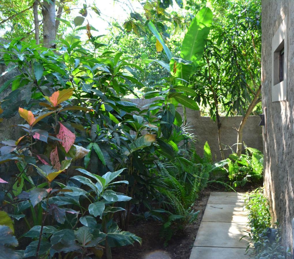 View Guesthouse & Bistro At Goyambokka Tangalle Exterior foto